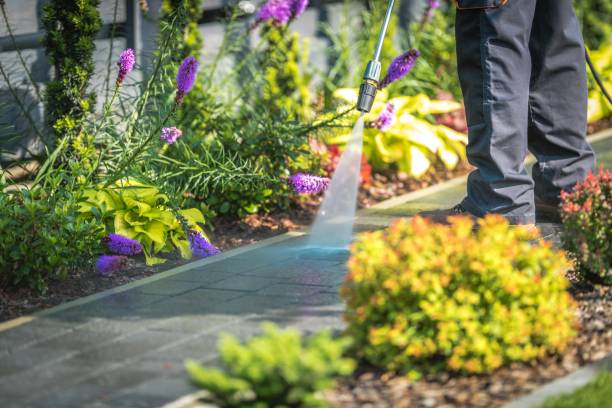 Best Parking Lot and Garage Cleaning  in Butler Beach, FL
